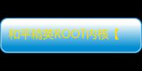 和平精英ROOT内核【上分侠】外挂